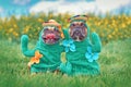 Two French Bulldog dogs dressed up with funny cactus plant Halloween costumes with fake arms, flowers and straw hats