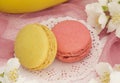 two French macaroons, pink and yellow on a pink background with flowers