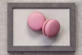 Two fresch macaroons of pink colors in wooden frame, abstract sweet art