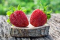 Two fresh appetizing strawberries on a wooden table in the garden