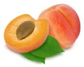 Two fresh apricots and leaves. Royalty Free Stock Photo