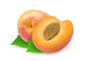 Two fresh apricots and leaves Royalty Free Stock Photo