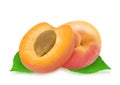 Two fresh apricots and leaves Royalty Free Stock Photo