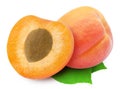 Two fresh apricots and leaves Royalty Free Stock Photo