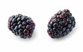 Two fresh blackberries macro