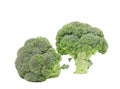 Two fresh broccoli close up. Royalty Free Stock Photo