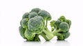 Two fresh broccoli florets on a white background Royalty Free Stock Photo