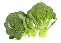 Two fresh broccoli isolated on white background Royalty Free Stock Photo