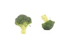 Two fresh broccoli. Royalty Free Stock Photo