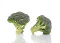 Two fresh broccoli. Royalty Free Stock Photo