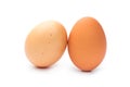 Two fresh brown chicken eggs on a white background Royalty Free Stock Photo