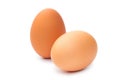 Two fresh brown chicken eggs on a white background Royalty Free Stock Photo