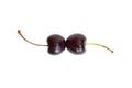 Two fresh cherries lie against each other, top view, isolated Royalty Free Stock Photo