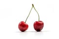 Two fresh cherries on white background Royalty Free Stock Photo