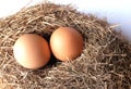 two Fresh chicken eggs on a nest made of grass straw. Royalty Free Stock Photo