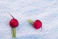 Two fresh clean radishes.