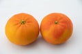 Two Fresh clementine citrus fruits Royalty Free Stock Photo