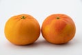 Two Fresh clementine citrus fruits