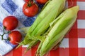 Two fresh cobs of corn and branch of tomatoes, on blue towel , organic summer vegetables Royalty Free Stock Photo