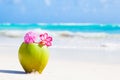 Two fresh coconut cocktail on tropical beach with Royalty Free Stock Photo