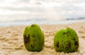 Two fresh coconuts on the beach in a resort city with sea ocean. Royalty Free Stock Photo