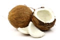 Two fresh coconuts and one opened Royalty Free Stock Photo