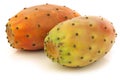 Two fresh colorful cactus fruits