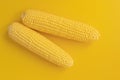 Two fresh corn cobs isolated on yellow background Royalty Free Stock Photo