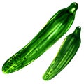 Two fresh cucumbers isolated on white