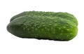 Two fresh cucumbers on a white background isolate Royalty Free Stock Photo