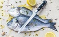 Two fresh dorada fishes with knife and seasoning