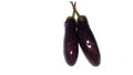 two fresh eggplants, isolated on white background Royalty Free Stock Photo