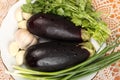 Two fresh eggplants with water drops, garlic and cilantro on a plate on the table Royalty Free Stock Photo