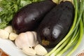 Two fresh eggplants with water drops, garlic and cilantro on a plate on the table Royalty Free Stock Photo