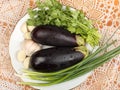 Two fresh eggplants with water drops, garlic and cilantro on a plate on the table Royalty Free Stock Photo