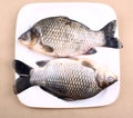 Two Fresh fish carp on white plate Royalty Free Stock Photo