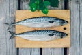 two fresh fish on a cutting Board, cooking mackerel,fish tails close up Royalty Free Stock Photo
