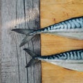 two fresh fish on a cutting Board, cooking mackerel,fish tails close up Royalty Free Stock Photo