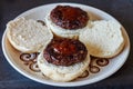 two fresh flame grilled burgers Royalty Free Stock Photo