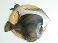 two fresh flounders, large and small, before cooking Royalty Free Stock Photo