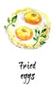 Two fresh fried eggs with parsley leaf, watercolor hand drawn il
