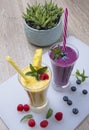 Two fresh fruit smoothies with berries lying in front of glasses