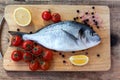 Two fresh gilt-head bream fish on cutting board