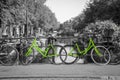 Two fresh green bikes on the streets of Amsterdam Royalty Free Stock Photo