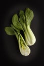 Two fresh green Bok Choy on a dark slate background, tasty ingredients and low in calories