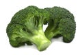 Two fresh green broccoli. Royalty Free Stock Photo