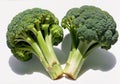 Two fresh green broccoli close-up isolated on a white background Royalty Free Stock Photo