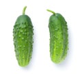 Two Fresh Green Cucumbers Isolated On White Royalty Free Stock Photo