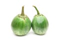 Two fresh green eggplants on an isolated white background Royalty Free Stock Photo