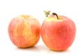 Two fresh juicy apples